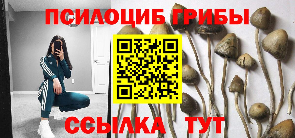 Псилоцибиновые грибы ЛСД Минеральные Воды